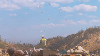 Полностью ликвидирован пожар на мусорном полигоне в Евпатории