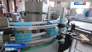 Индия поставила современное оборудование на содовый завод в Крыму