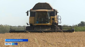 Площадь рисовых полей в Крыму увеличат на 700%