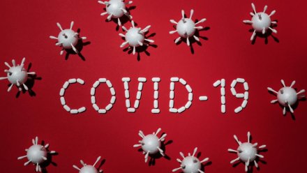 В Севастополе выявлено 32 новых случая COVID-19
