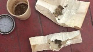 В Крыму мужчину подозревают в распространении наркотиков под Ялтой