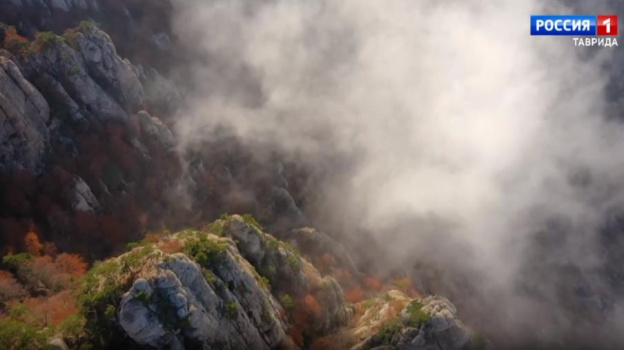 На плато Чатыр-Даг в Крыму подкармливают чёрных грифов и белоголовых сипов 