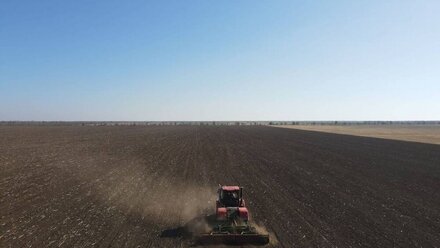 Сев озимых зерновых завершился в Крыму