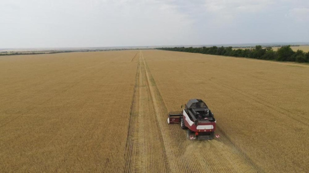 Объём зерновых в Крыму превысит потребности региона более чем в два раза