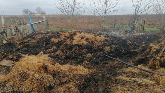 В Джанкое задержан поджигатель