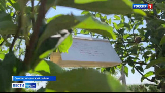 Крымские аграрии приступили к установке феромонных ловушек в садах