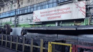 Аксенов анонсировал запуск железорудного комбината в Запорожской области