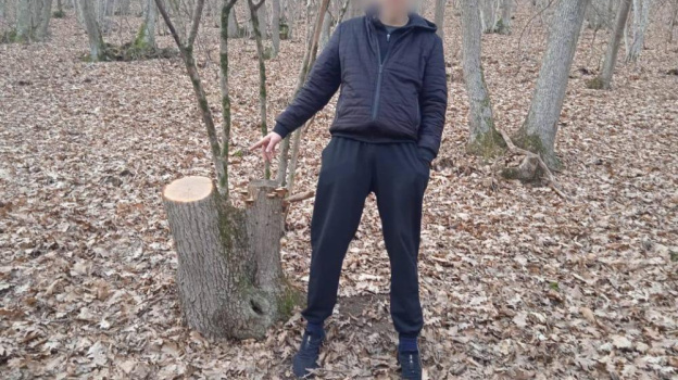 Браконьер нарубил деревьев в крымском лесу на 180 тысяч рублей