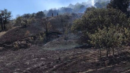 Огнеборцы предотвратили лесной пожар под Судаком