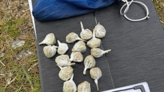 Жителя Феодосии подозревают в незаконном хранении наркотиков