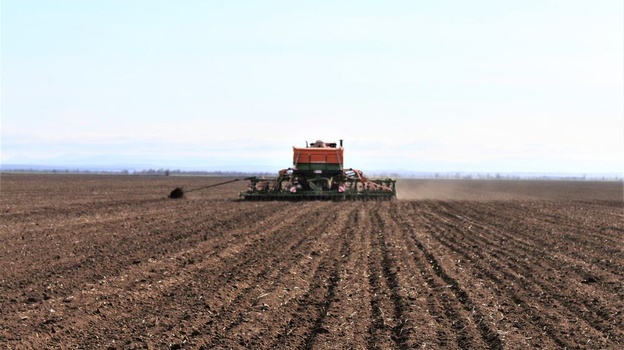 Аграрии начали сев кукурузы на крымских полях 