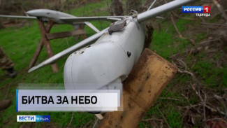 Битва в «нижнем небе»: как ПВО уничтожают вражеские дроны