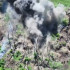 Артиллеристы Костромского полка ВДВ разгромили укрепрайон ВСУ на Ореховском направлении