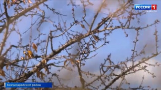 ВЕСТИ-КРЫМ: выпуск 03.12.2021 17:00