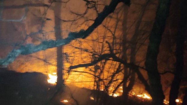 Пожар на Карадагском заповеднике тушат больше ста человек