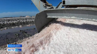 Розовую соль собирают на крымском озере Сасык-Сиваш