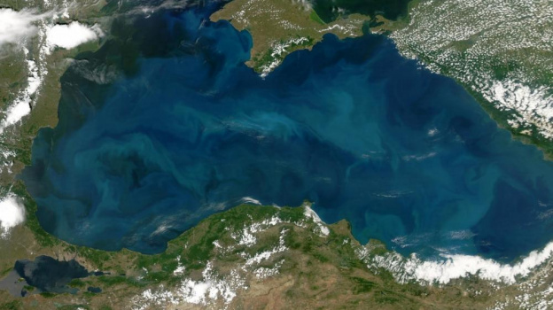 В Крыму призвали к защите Черного моря