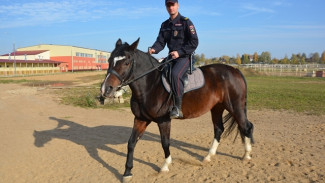 Где будут размещены патрули конной полиции в Севастополе: ответ губернатора