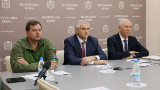 Аксёнов поблагодарил президента за содействие в решении транспортного коллапса на подъезде к Крыму