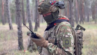 Гвардейцы-сапёры Костромского полка ВДВ обезвредили ударный агродрон противника в Херсонской области