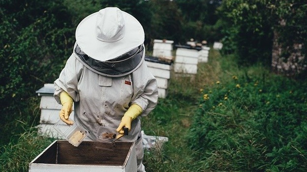 Пчеловоды Крыма жалуются не неэффективную работу властей
