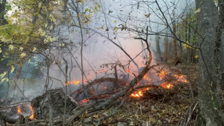 Пожар на горе Бойко под Бахчисараем потушен