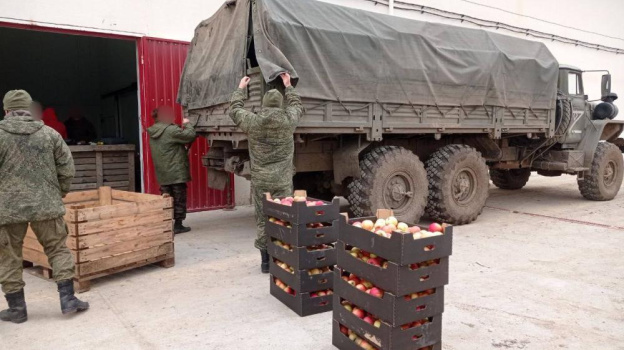 Севастопольский фермер передал на фронт 150 килограммов яблок