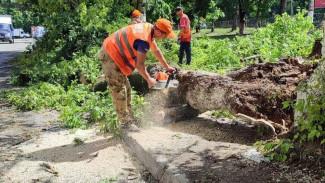Четыре бригады коммунальщиков устраняют последствия грозы в Симферополе