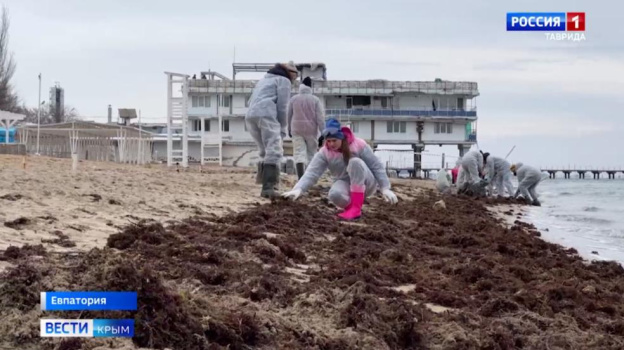 Команда Вести Крым помогает очищать побережье Крыма от мазута