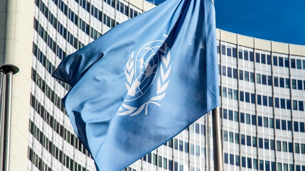 Крымские политологи написали открытое письмо в ООН