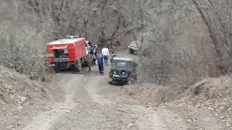 В Крыму выгорело 1,5 гектара территорий в лесничестве под Бахчисараем