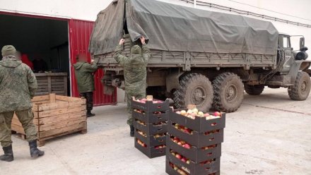 Севастопольский фермер передал на фронт 150 килограммов яблок