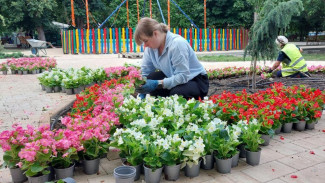 Парк Гагарина в Симферополе украсят бегониями
