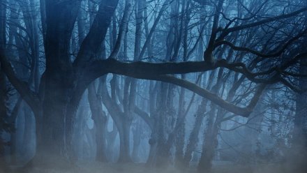 В Крыму спасатели нашли двух туристов, заблудившихся в Долине Привидений