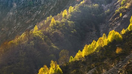 С 10 ноября заповедник «Казантипский» в Крыму закроют для туристического посещения