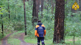 В лесу под Симферополем потерялась женщина
