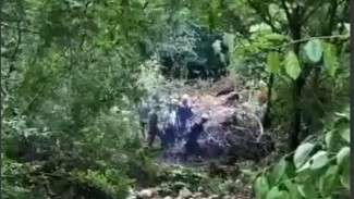 Автомобиль туристов из Беларуси снесло селевым потоком в реку Коккозка (ВИДЕО)