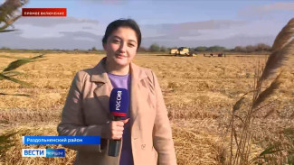 Прямое включение. Первый за 8 лет урожай риса в Крыму