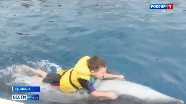 В Крым ради дельфинотерапии съезжаются жители всей России