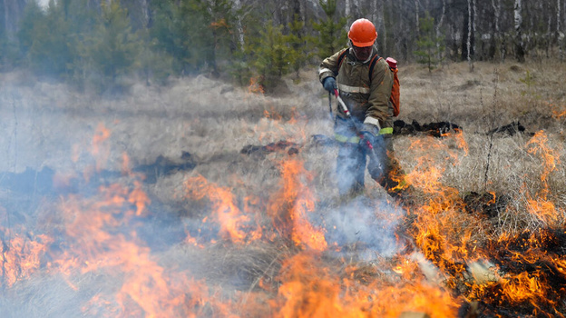 Лес загорелся в Балаклавском районе Севастополя