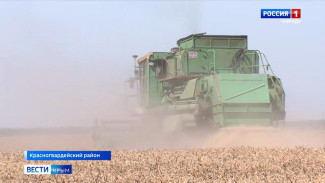 В Крыму выращивают в пять раз больше пшеницы, чем необходимо для собственного потребления