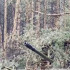 Артиллеристы группировки войск «Днепр» громят противника на правом берегу Днепра в Херсонской области