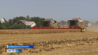 Аграрии начали уборку зерновых в Симферопольском районе