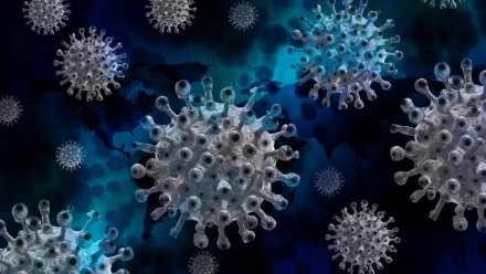 В Крыму выявлено ещё 512 случаев коронавируса