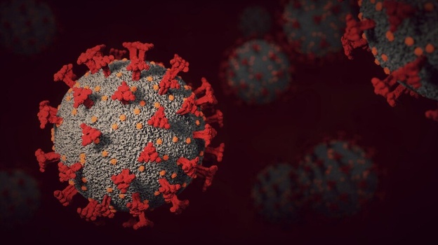 Почти две сотни крымчан заболели коронавирусом за сутки