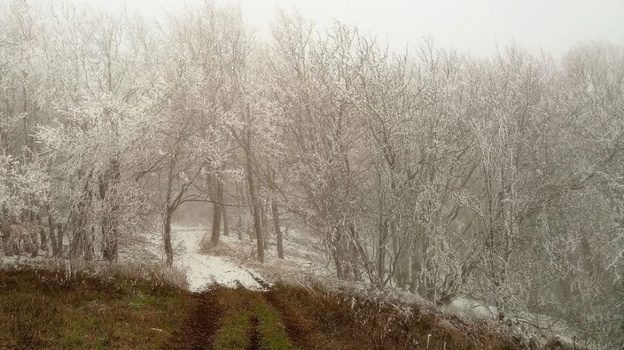 В горах Крыма выпал первый снег