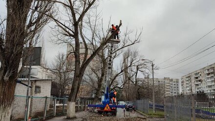 В Симферополе ликвидируют аварийные ветки и деревья