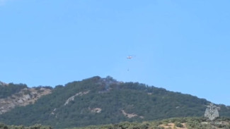 Площадь пожара под Судаком выросла до 5 Га