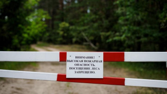 В Крыму закрыли леса на три недели