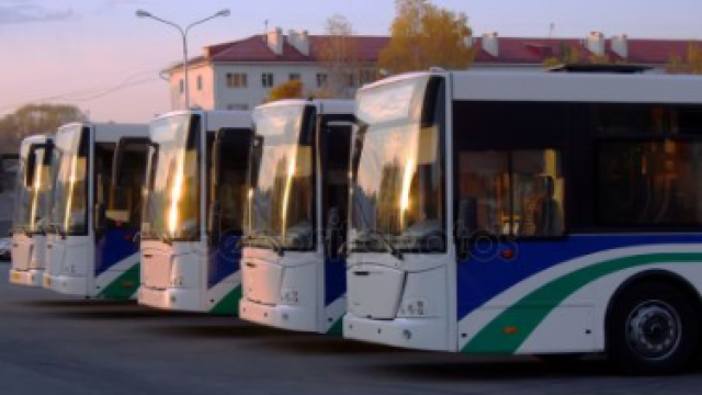 Многоуровневые парковки и новый транспорт: в Ялте планируют масштабные изменения